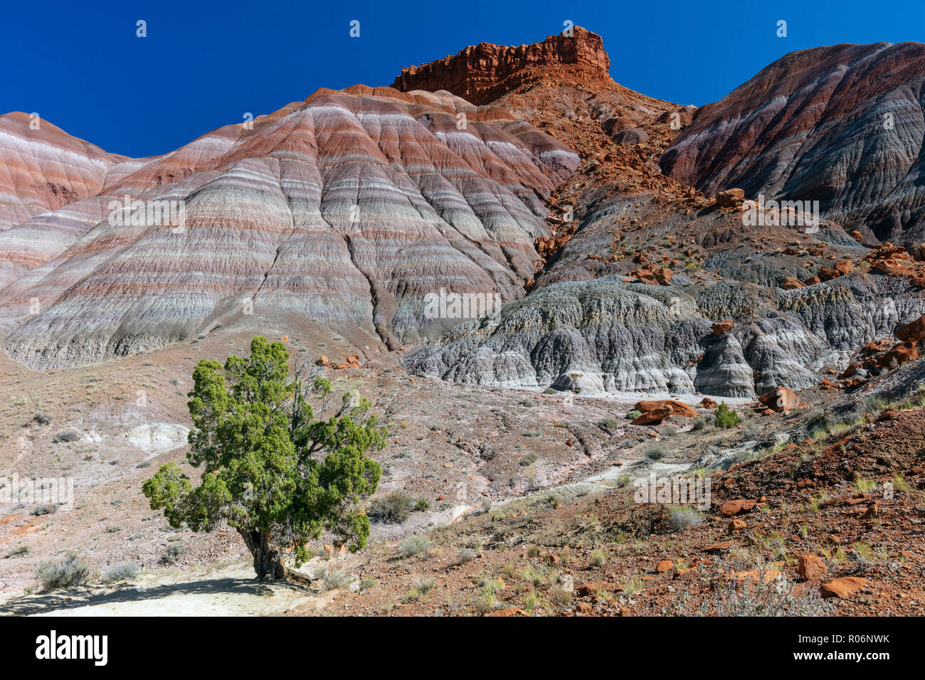 Topografia Badland formata dal Triassico formazione Chinle, antichi letti fluviali e lacustri con differenti composizioni rappresentate come rainbow-come nastro Foto Stock