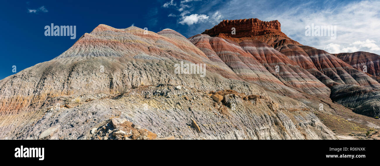 Topografia Badland formata dal Triassico formazione Chinle, antichi letti fluviali e lacustri con differenti composizioni rappresentate come rainbow-come nastro Foto Stock