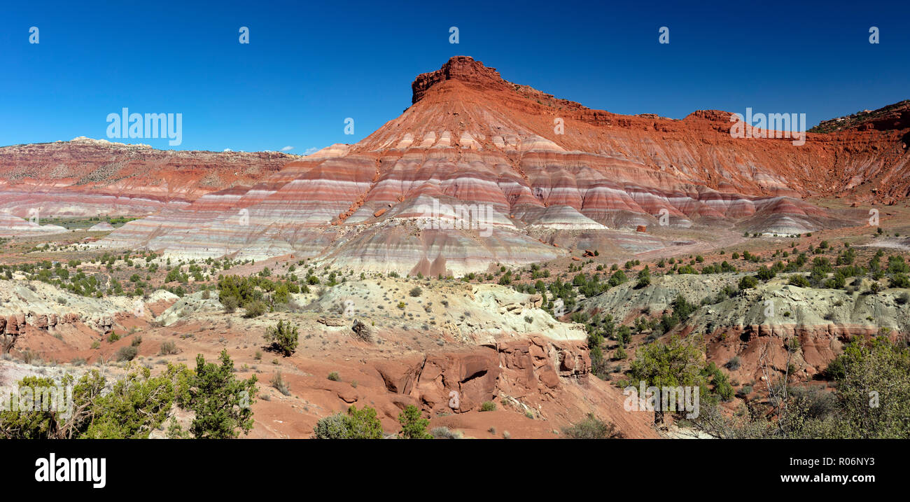 Topografia Badland formata dal Triassico formazione Chinle, antichi letti fluviali e lacustri con differenti composizioni rappresentate come rainbow-come nastro Foto Stock