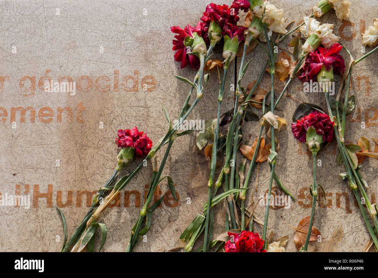 I garofani che stabilisce al genocidio armeno memorial, Lione, Francia Foto Stock