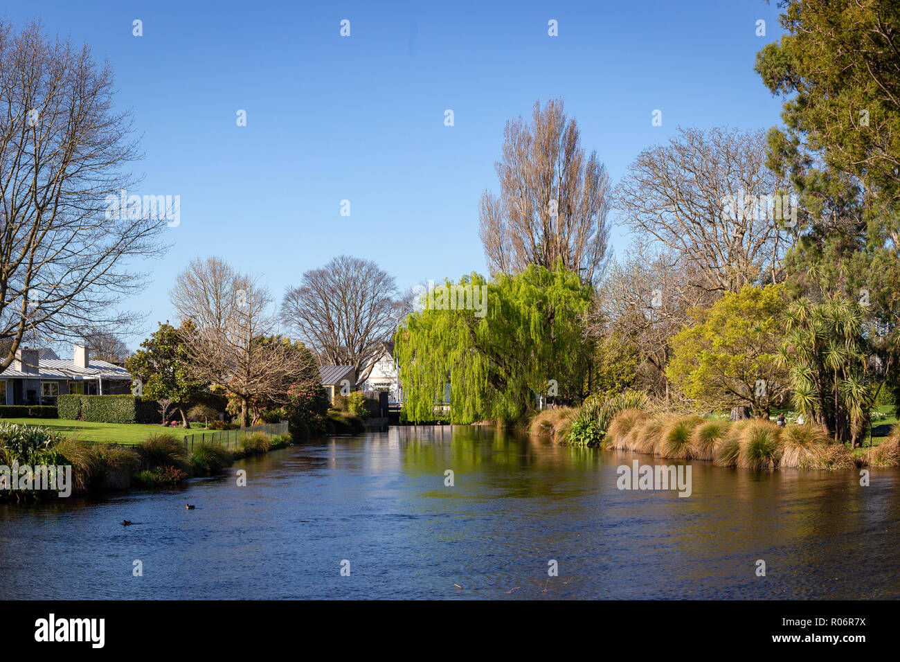 Il fiume Avon corre attraverso la paesaggistica Mona Vale Giardini in Christchurch, Nuova Zelanda Foto Stock