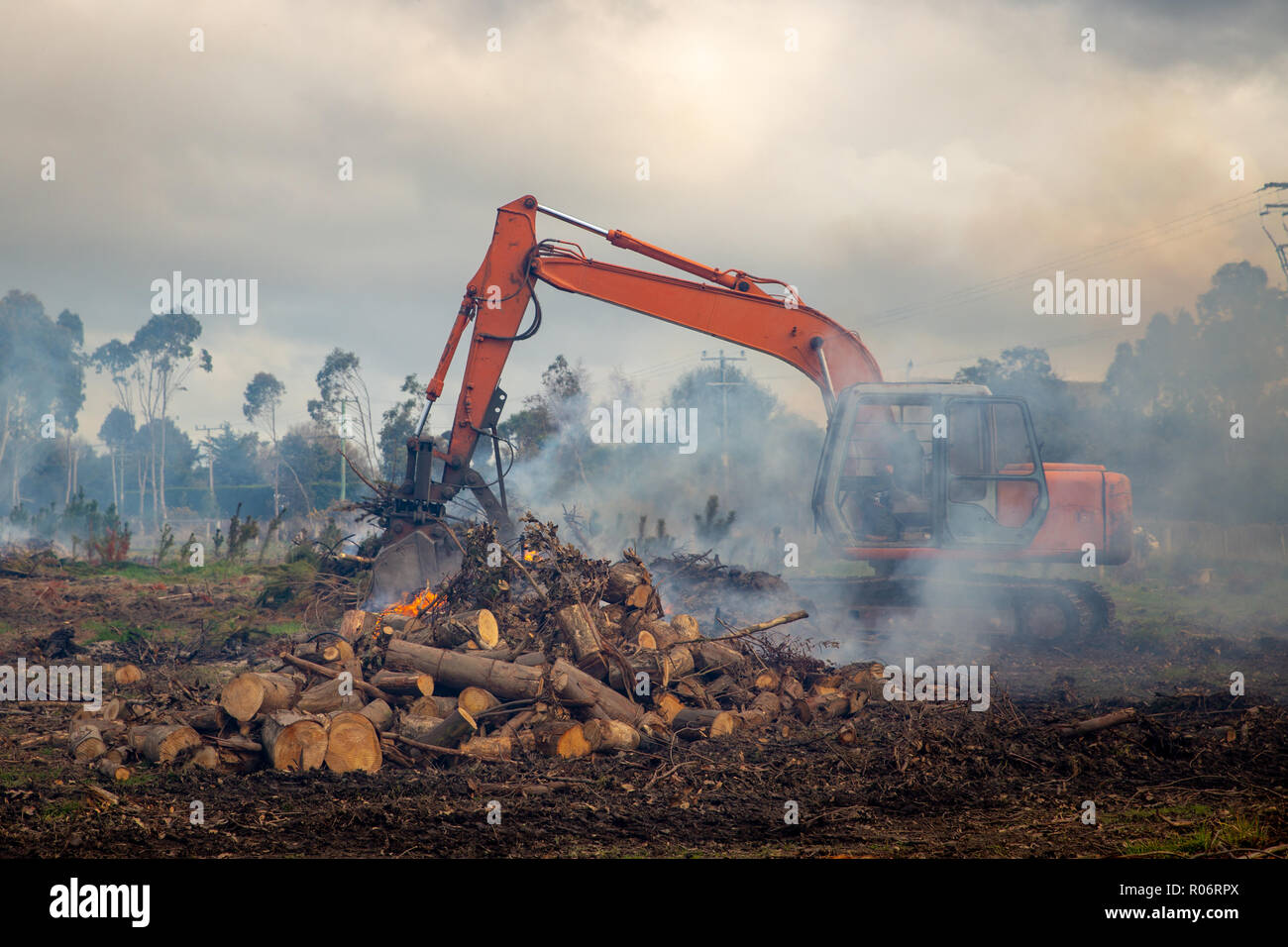 Un escavatore pulisce dopo che alberi sono state registrate, la raschiatura dei rifiuti insieme per essere bruciato in un incendio causando l'aria di essere tutti smoky Foto Stock