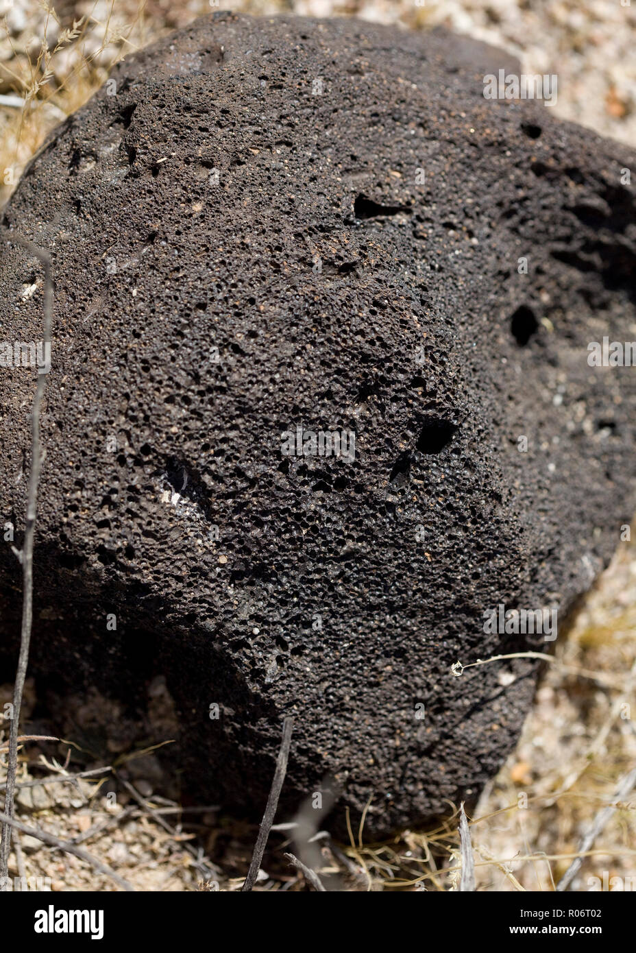 Igneo volcanic rock (roccia lavica) - California USA Foto Stock