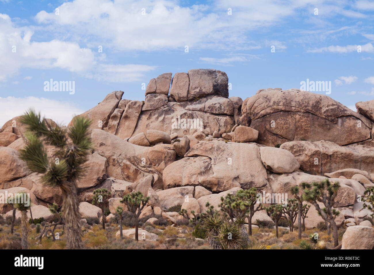 Monzogranite rock formazione - Deserto Mojave, California USA Foto Stock