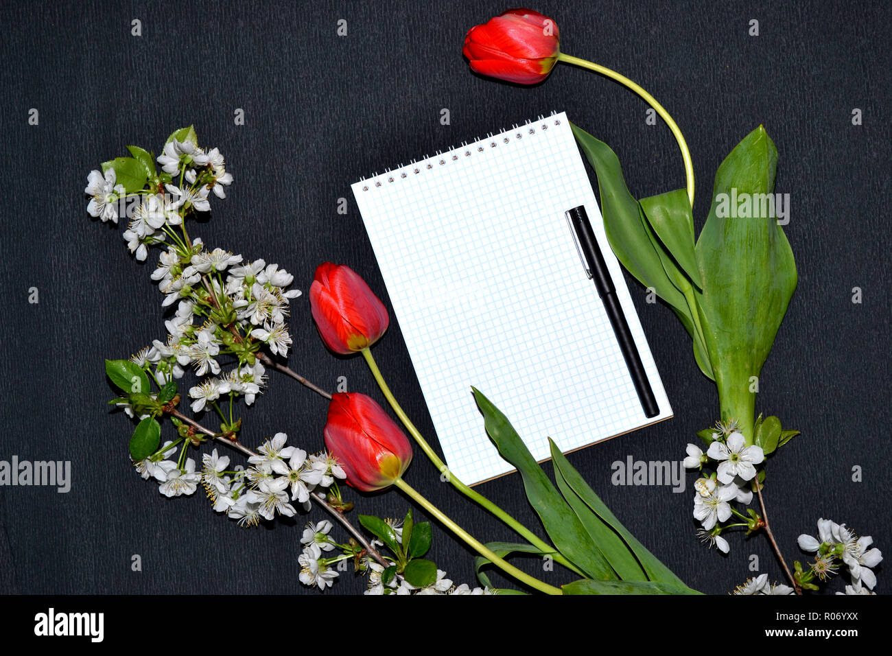 Appunti, penna, fiori bianchi e tulipani sulla superficie scura. Foto Stock