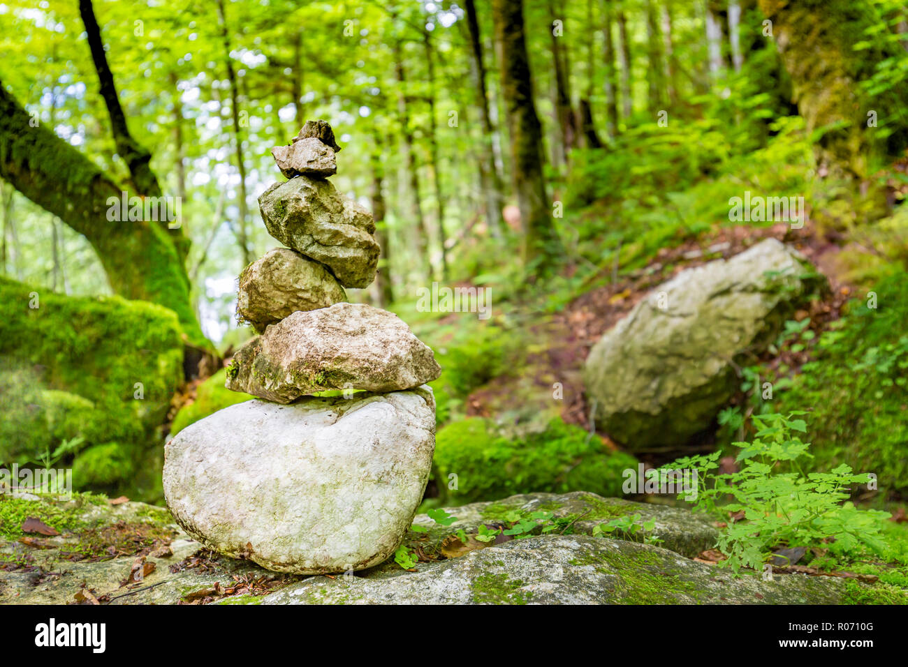 Zen pietre in foresta verde sulla roccia. La meditazione e rilassamento concetto, armonia nella natura design. Foto Stock