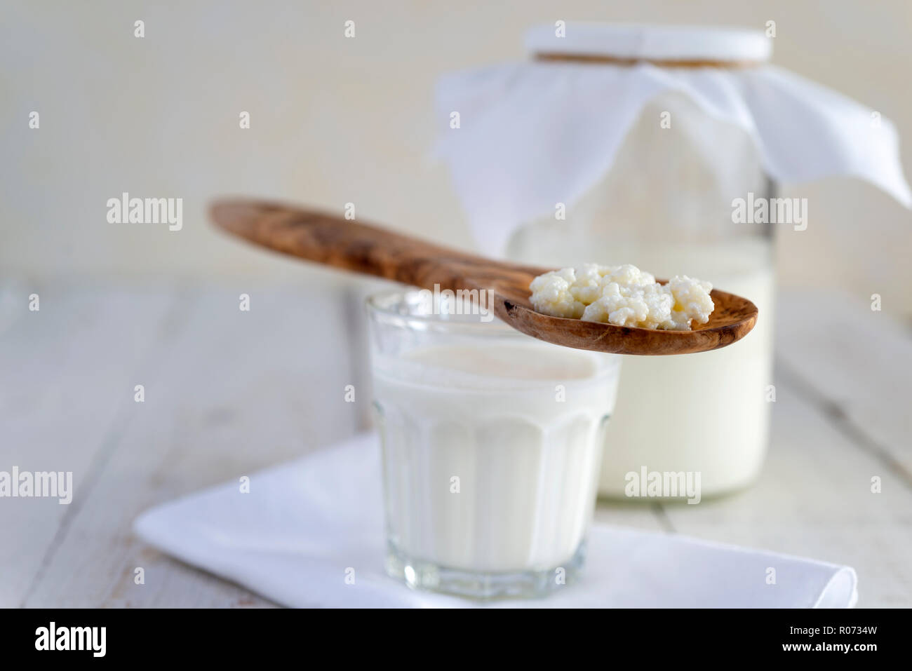 Fare in casa il latte kefir dalla fermentazione di latte con grani di kefir. Foto Stock