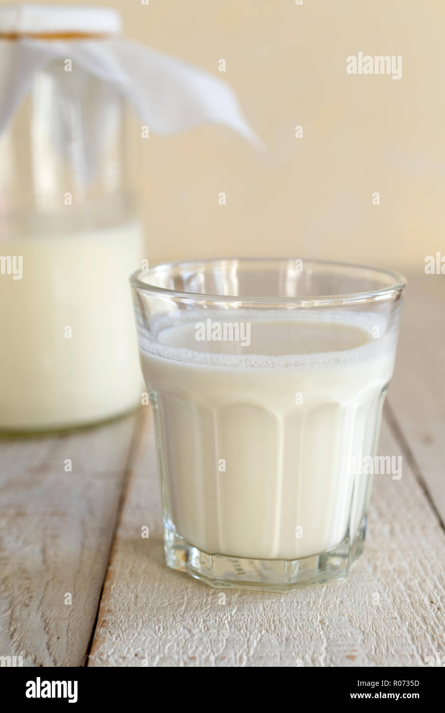 Un bicchiere di latte in casa il kefir, realizzato dalla fermentazione di latte. Foto Stock