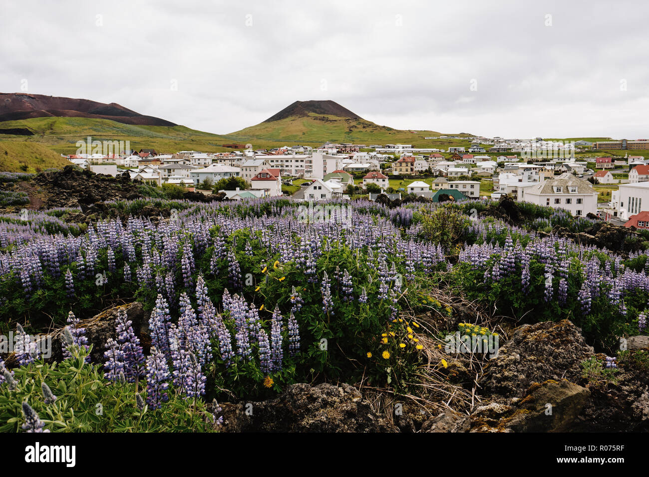L'isola vulcanica città di Heimaey nell'arcipelago Vestmannaeyjar sulla costa sud dell'Islanda. Foto Stock