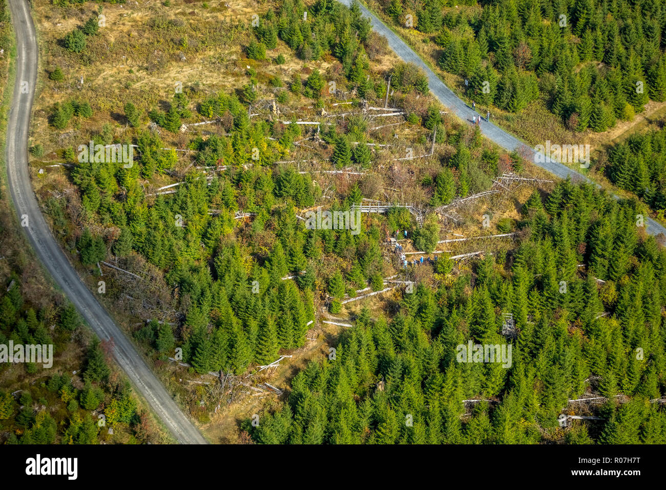 Percorso di Kirill Willingen, danni provocati dalla tempesta, Kirill tempesta, comprensorio sport invernali Effelsberg, Stryck, Willingen (Upland), Sauerland, Hesse, Germania, DEU, Europa Foto Stock