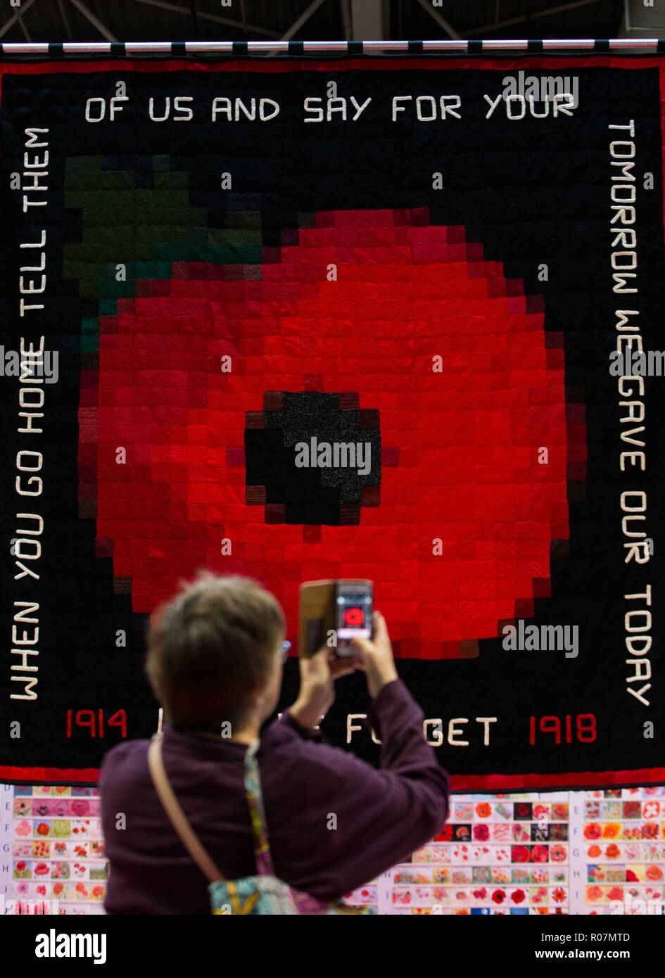 Una donna prende la foto di un gigante di papavero a maglia omaggio presso il Creative Craft Show al NEC di Birmingham, West Midlands. Il 13ft da parete è costituita da 2500 sezioni di maglia e commemora il centesimo anniversario della fine della Prima Guerra Mondiale. Foto Stock