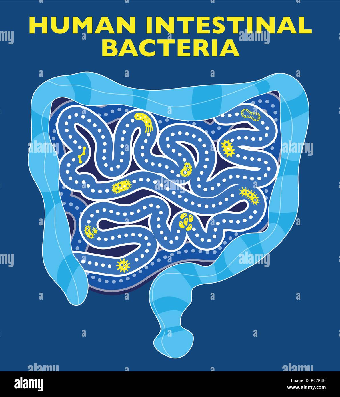 Intestino batteri e virus. Presenza di forme e organismi, microbiota umano. Symbionic microrganismi che vivono con l'organismo umano. Intestinale Illustrazione Vettoriale