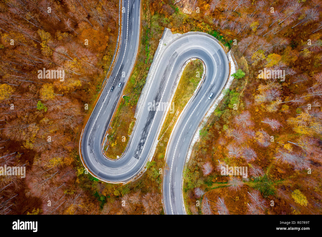 Curva della strada panoramica attraverso una foresta di metà autunno Foto Stock