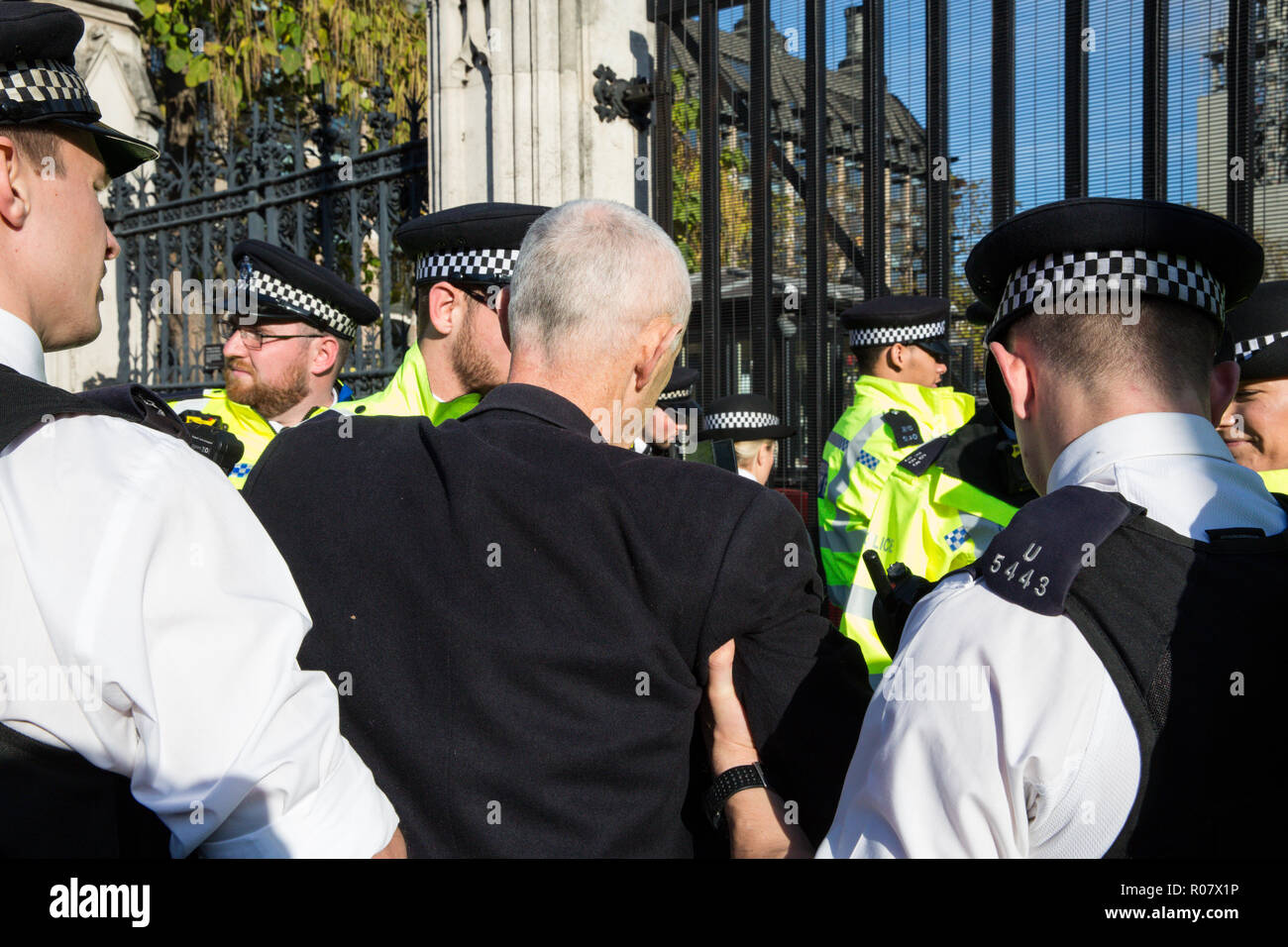 Londra, Regno Unito. Il 31 ottobre, 2018. Gli ufficiali di polizia arresto scrittore, attivista e stile di vita verde coach Donnachadh McCarthy dopo aver bloccato una strada intorno a P Foto Stock