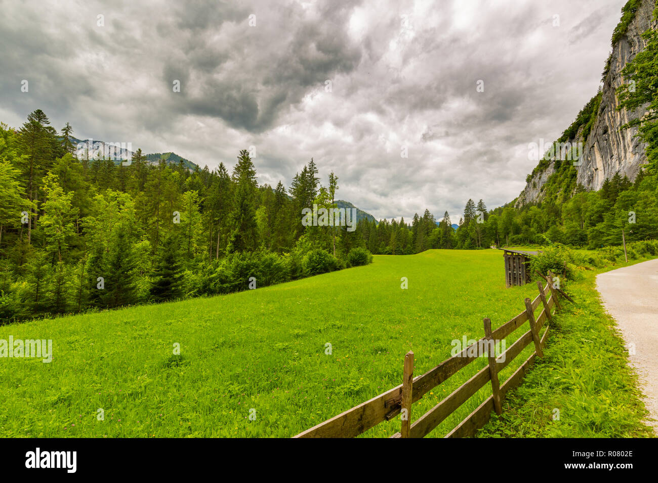 La struttura ad albero sotto la luce diretta del sole. Dietro la pioggia e nebbia nelle Alpi.staccionata in legno e cielo nuvoloso, prato verde, alberi verdi e tranquillo paesaggio naturale Foto Stock