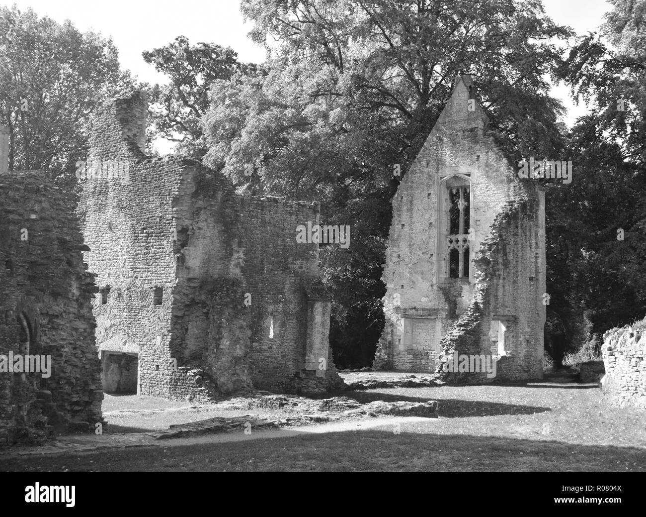 Nascosti in natura, Ministro Lovell Foto Stock