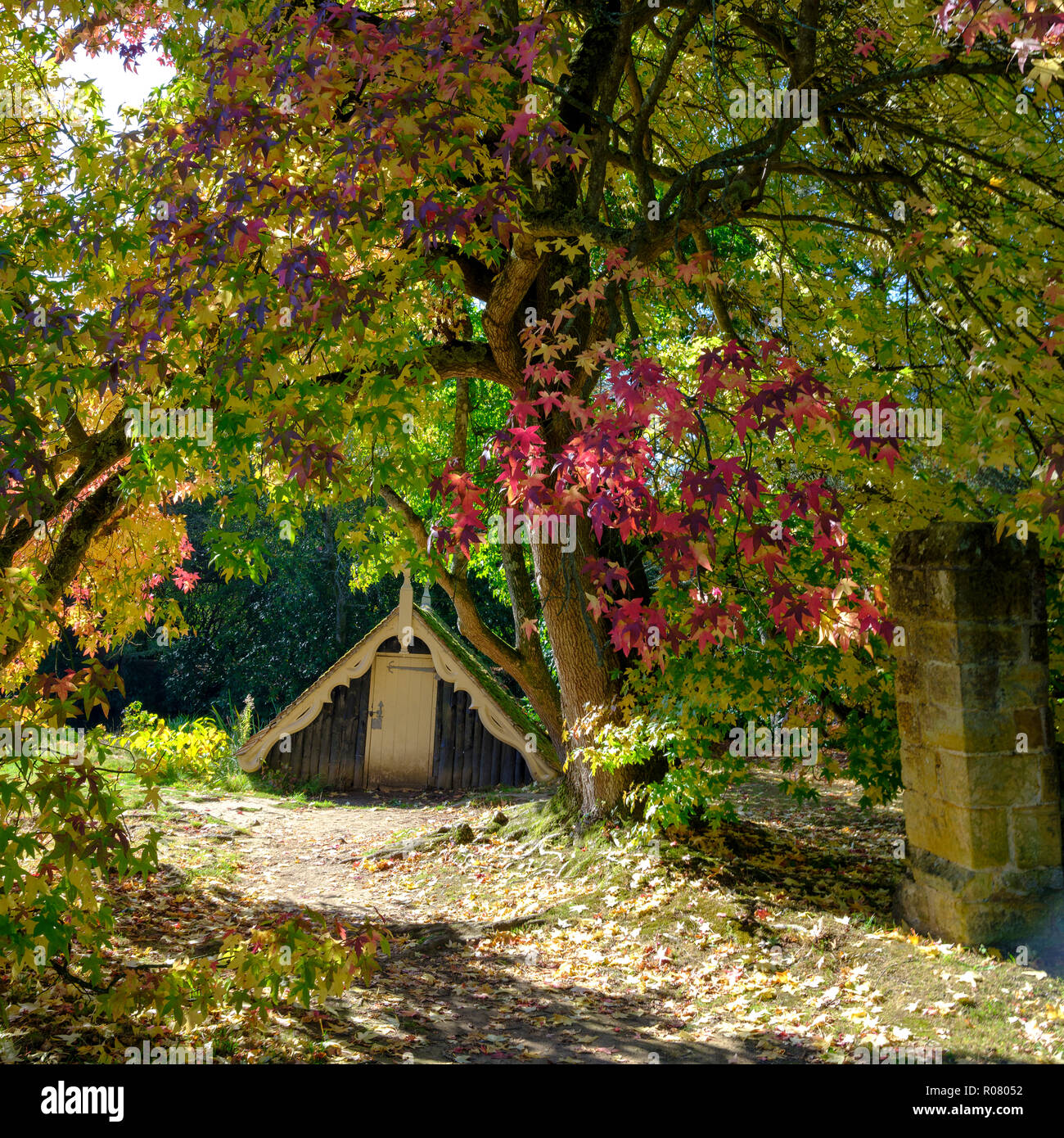 I colori autunnali e del sole su un vecchio castello in motivi di Scotney, East Sussex, Regno Unito Foto Stock