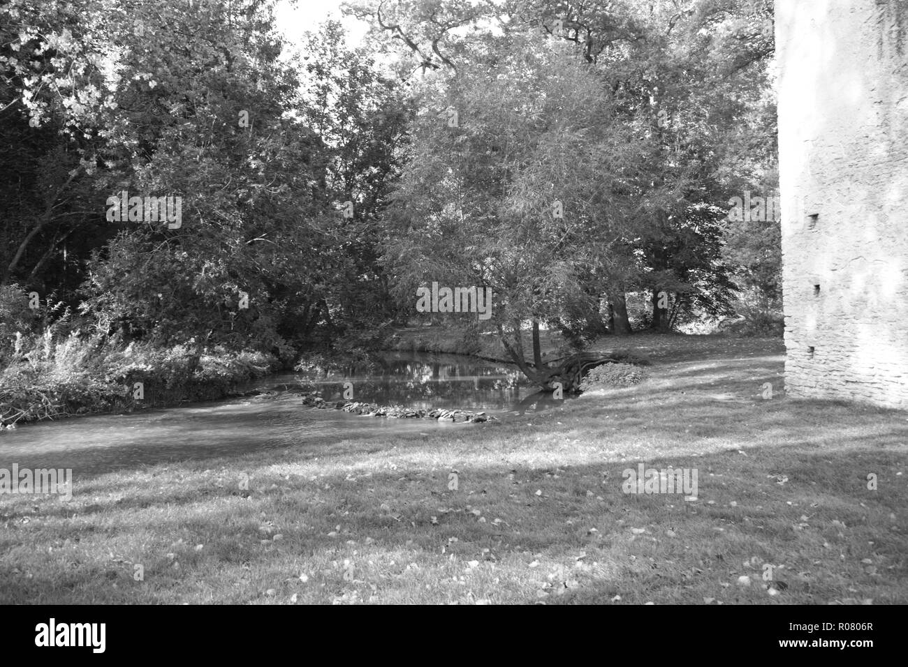 Il tranquillo Fiume Windrush Foto Stock