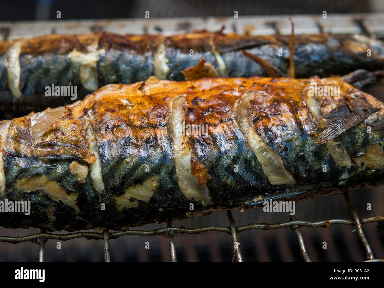 Stuzzicanti Sgombro Alla Griglia Su Un Fest Cibo Steet E Cibo Foto Stock Alamy