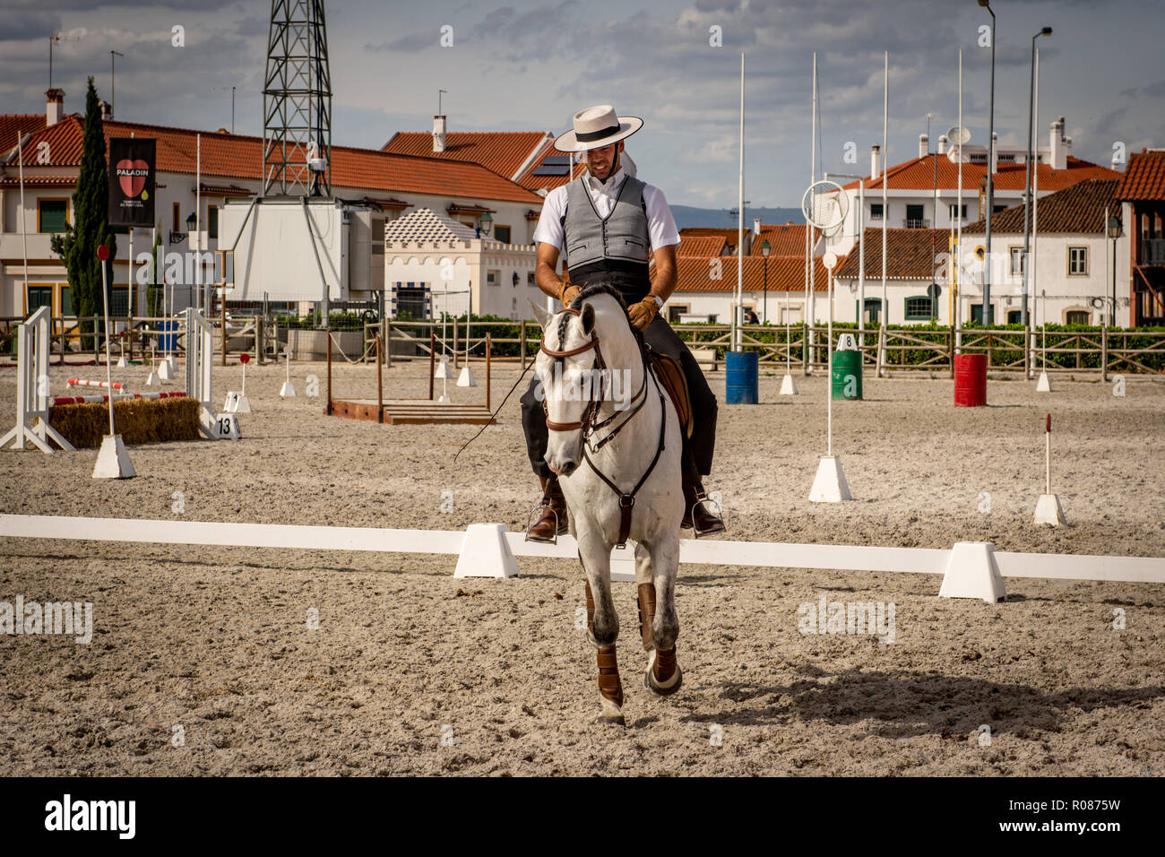 Cavallo lusitano in Golega, Portogallo Foto Stock