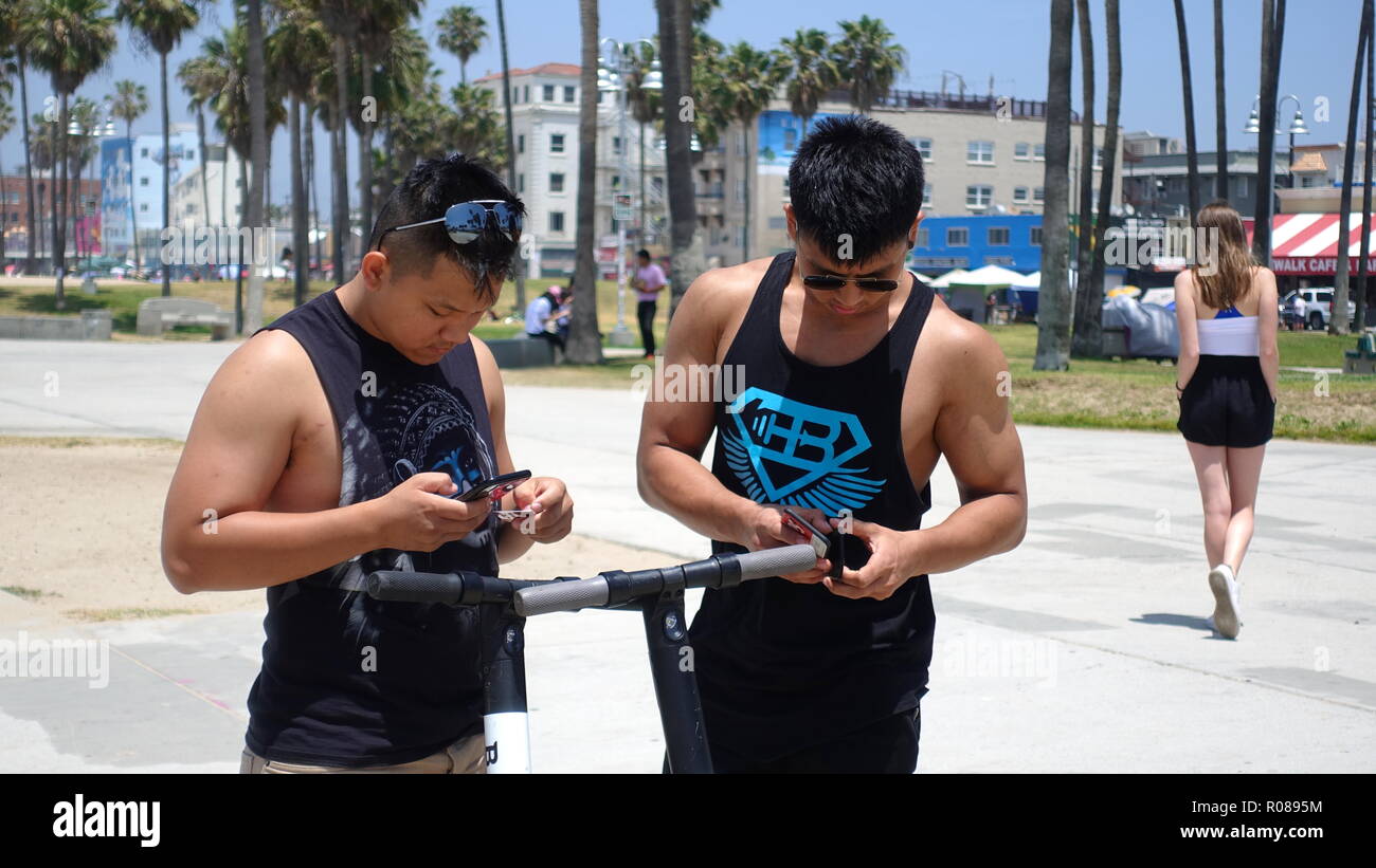 Due giovani, muscolare uomini asiatici utilizzare il telefono mobile app per sbloccare e affitto dockless uccello elettrico scooter sulla spiaggia di Venezia percorso per biciclette Foto Stock
