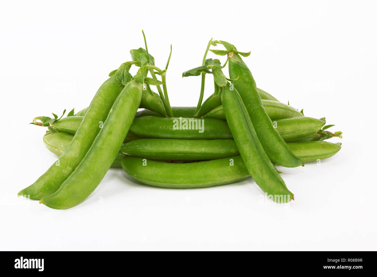 Il segnale di PEA POD su sfondo bianco Foto Stock