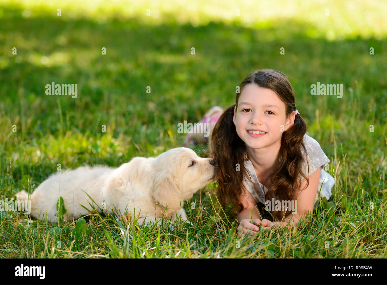 Ragazza e cane posa sull'erba Foto Stock