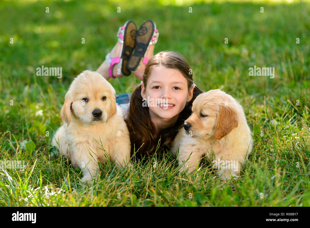 Due cuccioli e ragazza Foto Stock