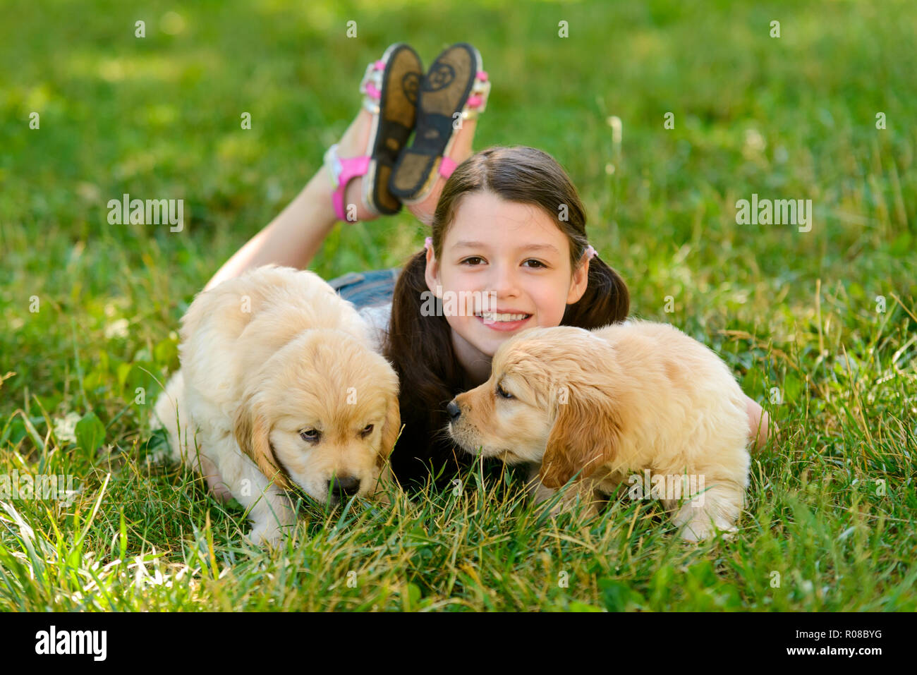Ragazza e il cani di piccola taglia Foto Stock