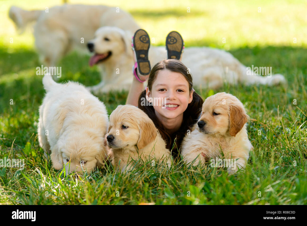 La ragazza è in posa con i cuccioli Foto Stock