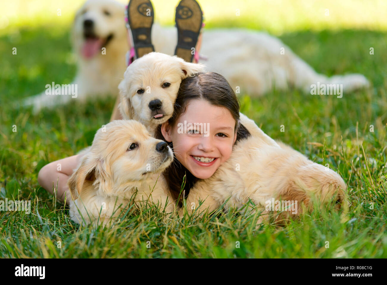 Sorridente capretto con giocoso cuccioli Foto Stock