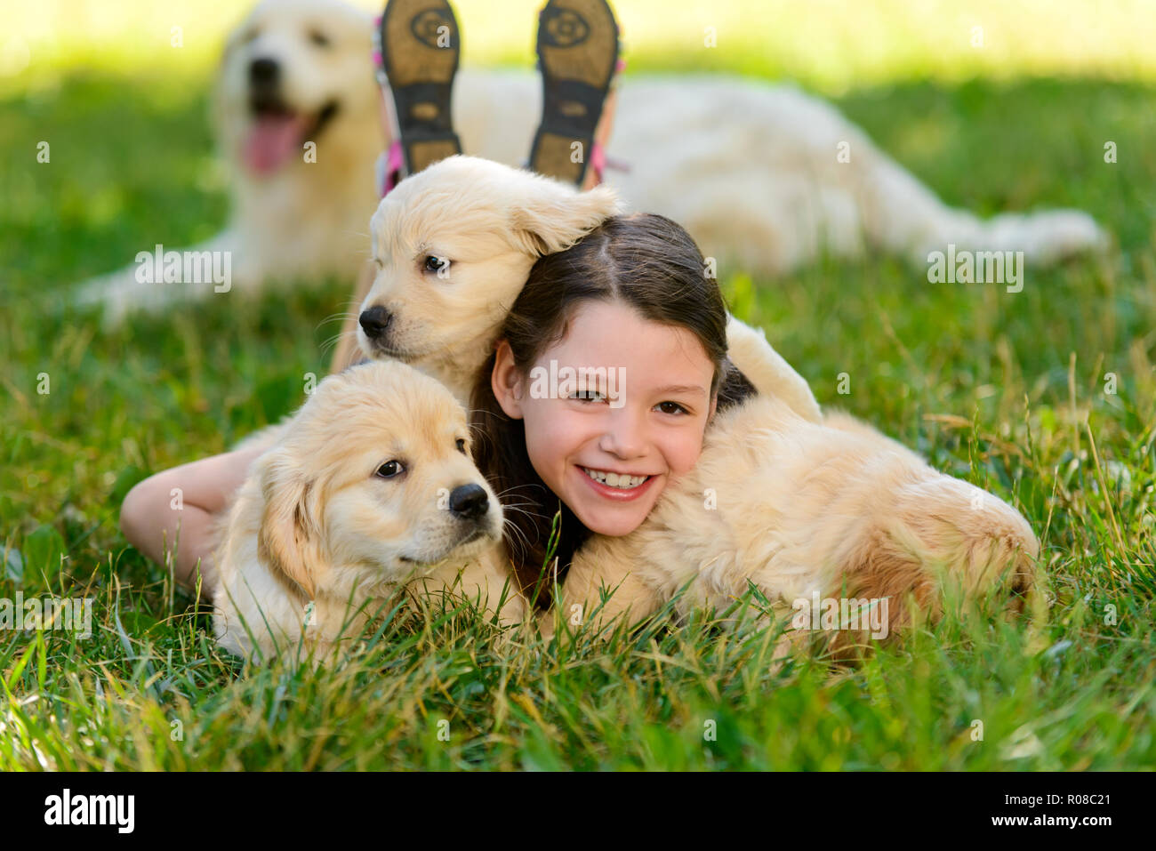 Ragazza posa raggomitolati con cuccioli Foto Stock