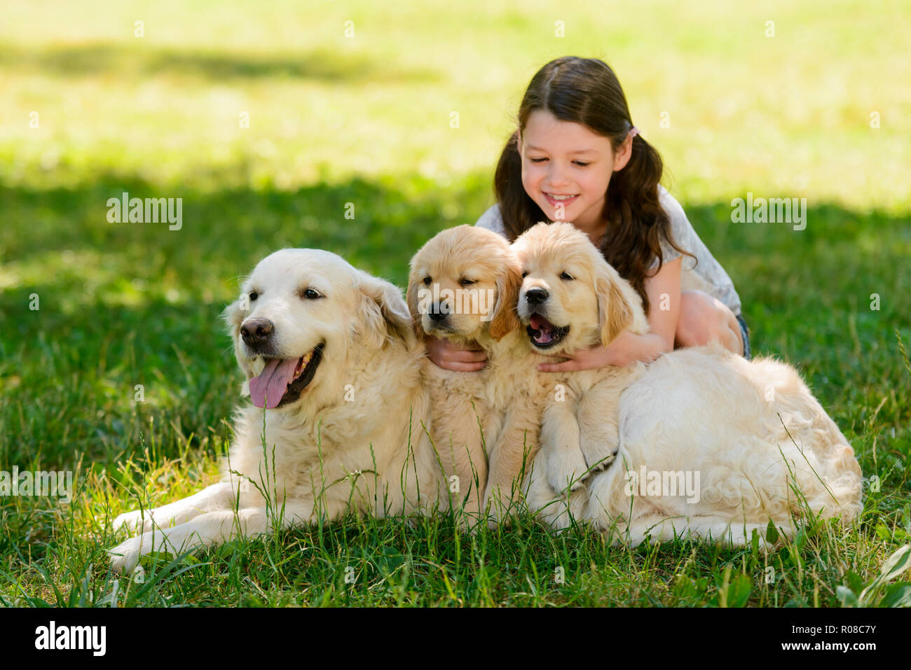 Bambino felice e i suoi cani Foto Stock