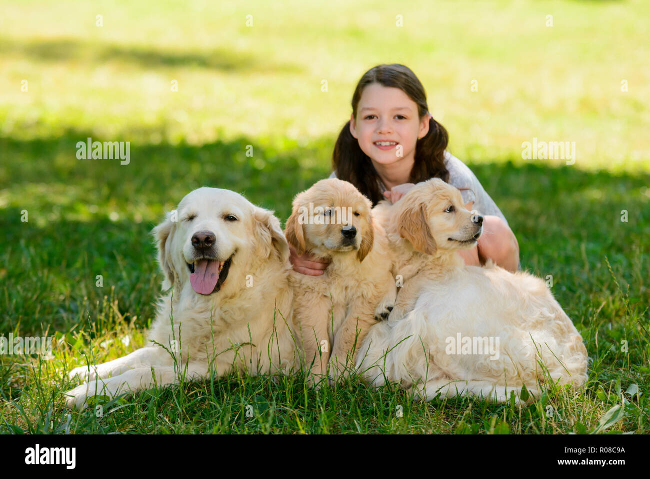 Il bambino è in posa con i cani Foto Stock