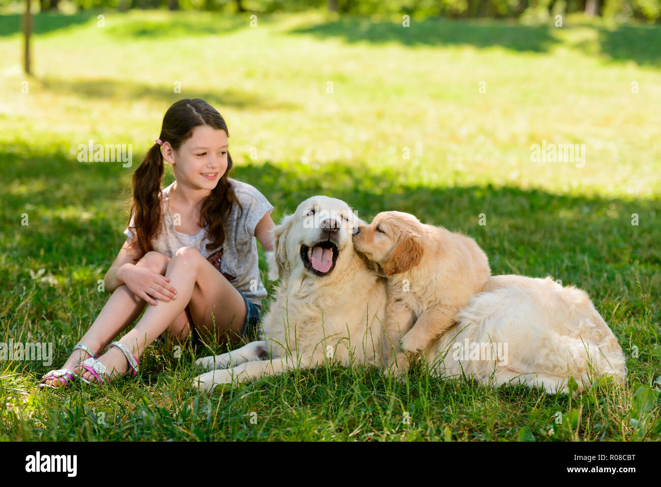 Bella ragazza e i suoi cani Foto Stock