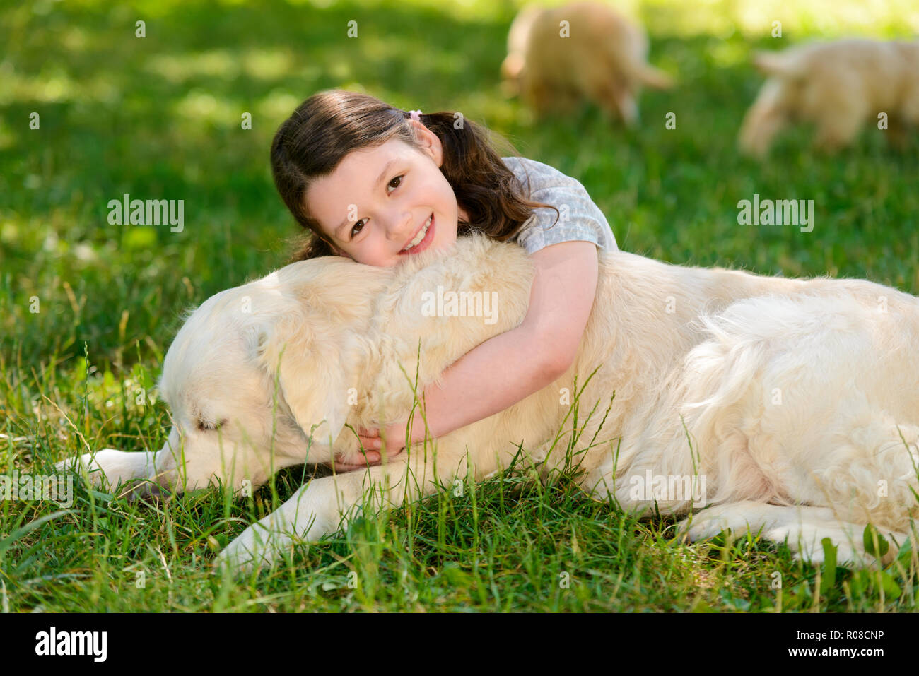 Abbraccio di cane e proprietario Foto Stock