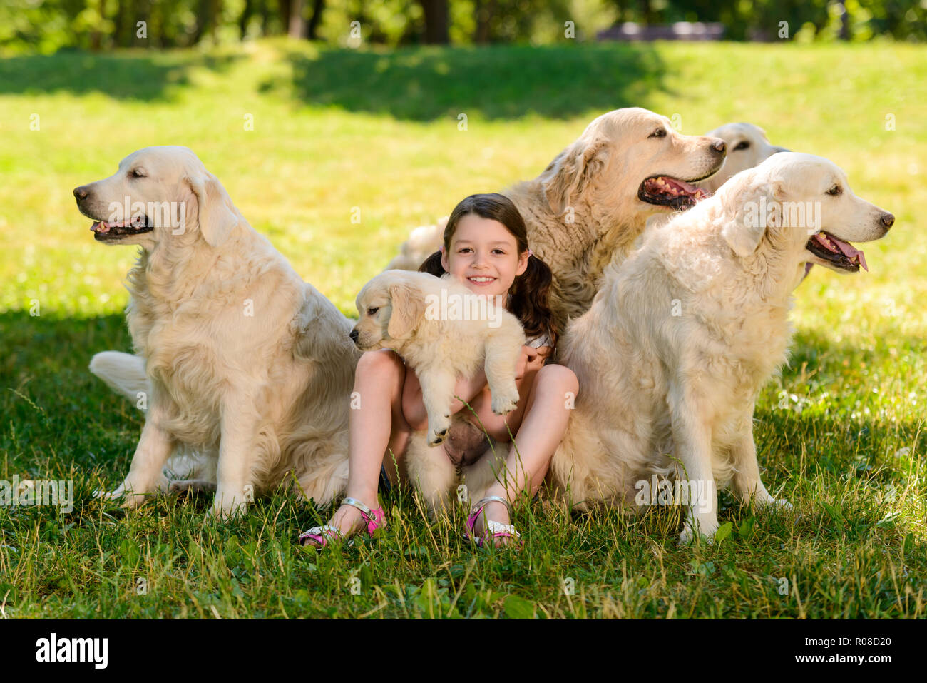 Kid è circondato con i cani Foto Stock