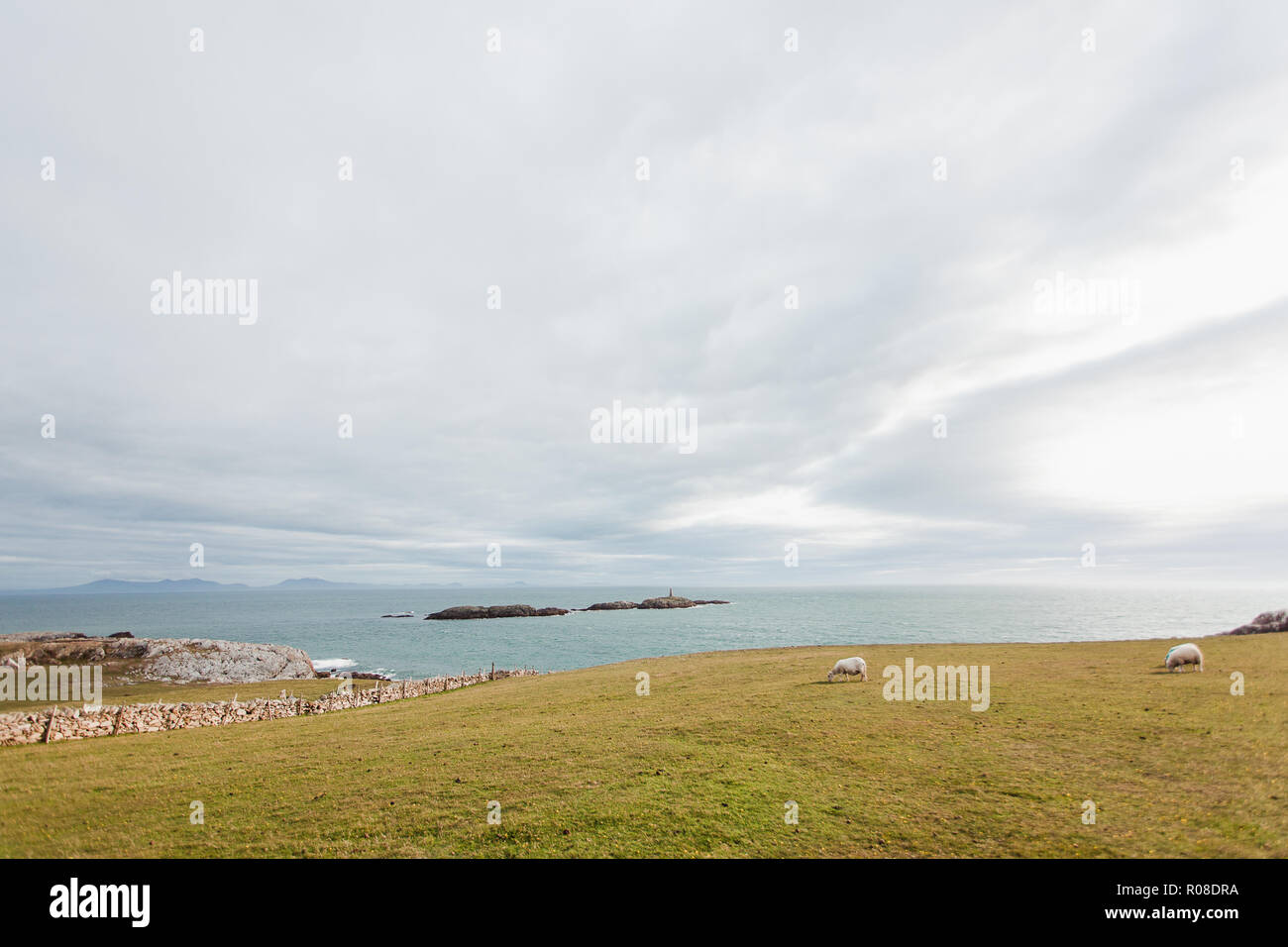 Guardando verso il mare dalla costa del Rhoscolyn sentiero costiero, Anglesey, Galles del Nord, Regno Unito Foto Stock