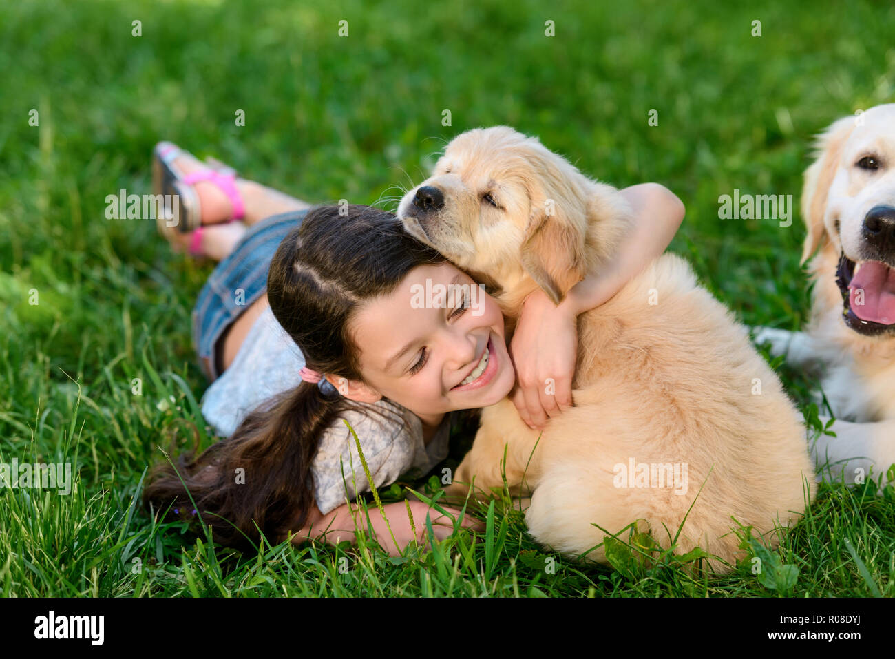 Ragazza che gioca con i suoi cani Foto Stock