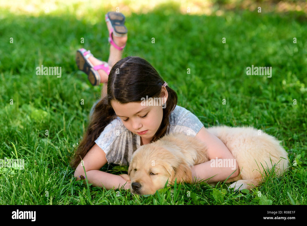 La ragazza è in appoggio con il cane Foto Stock