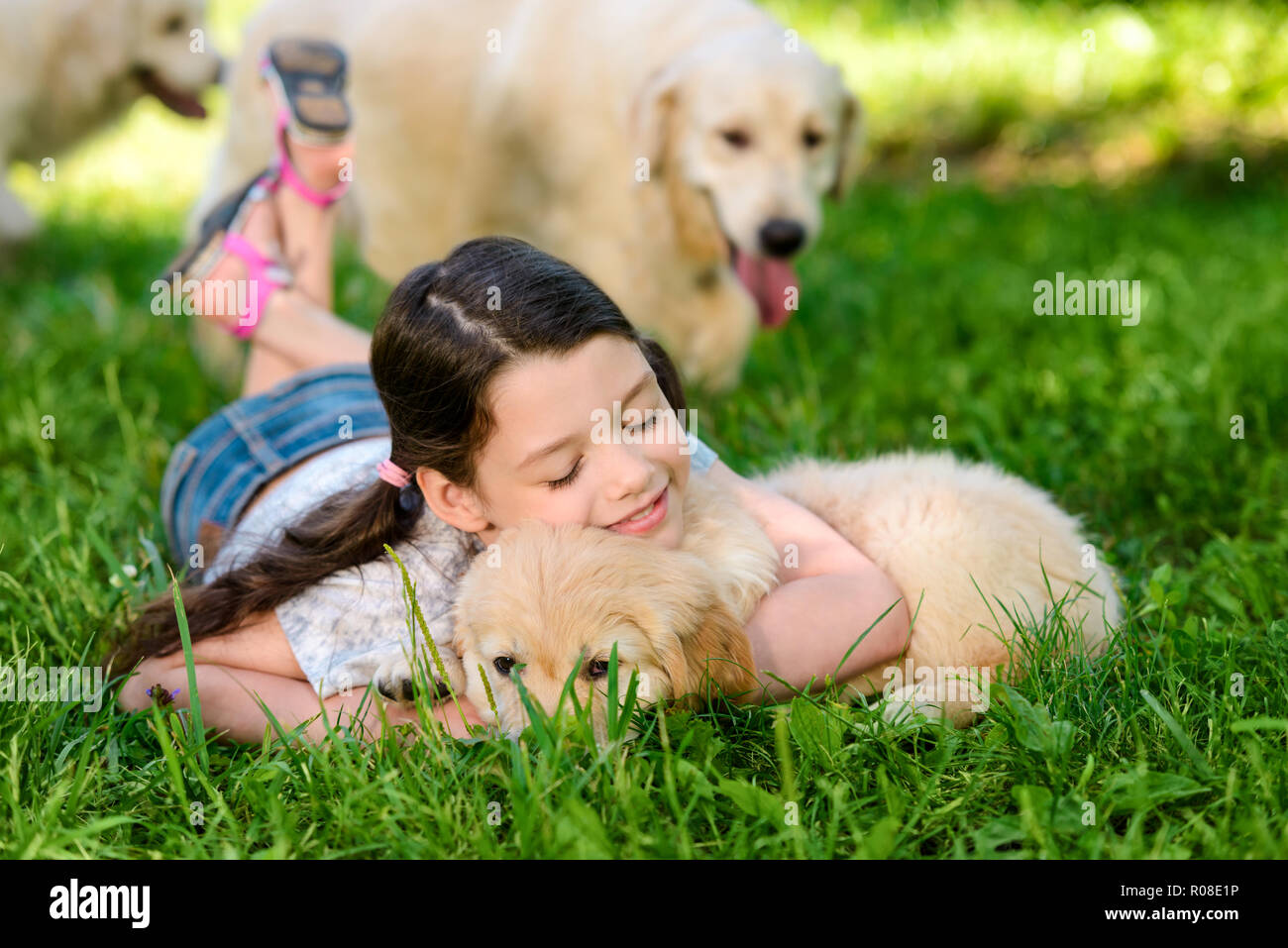 Giovane donna e il suo cane Foto Stock