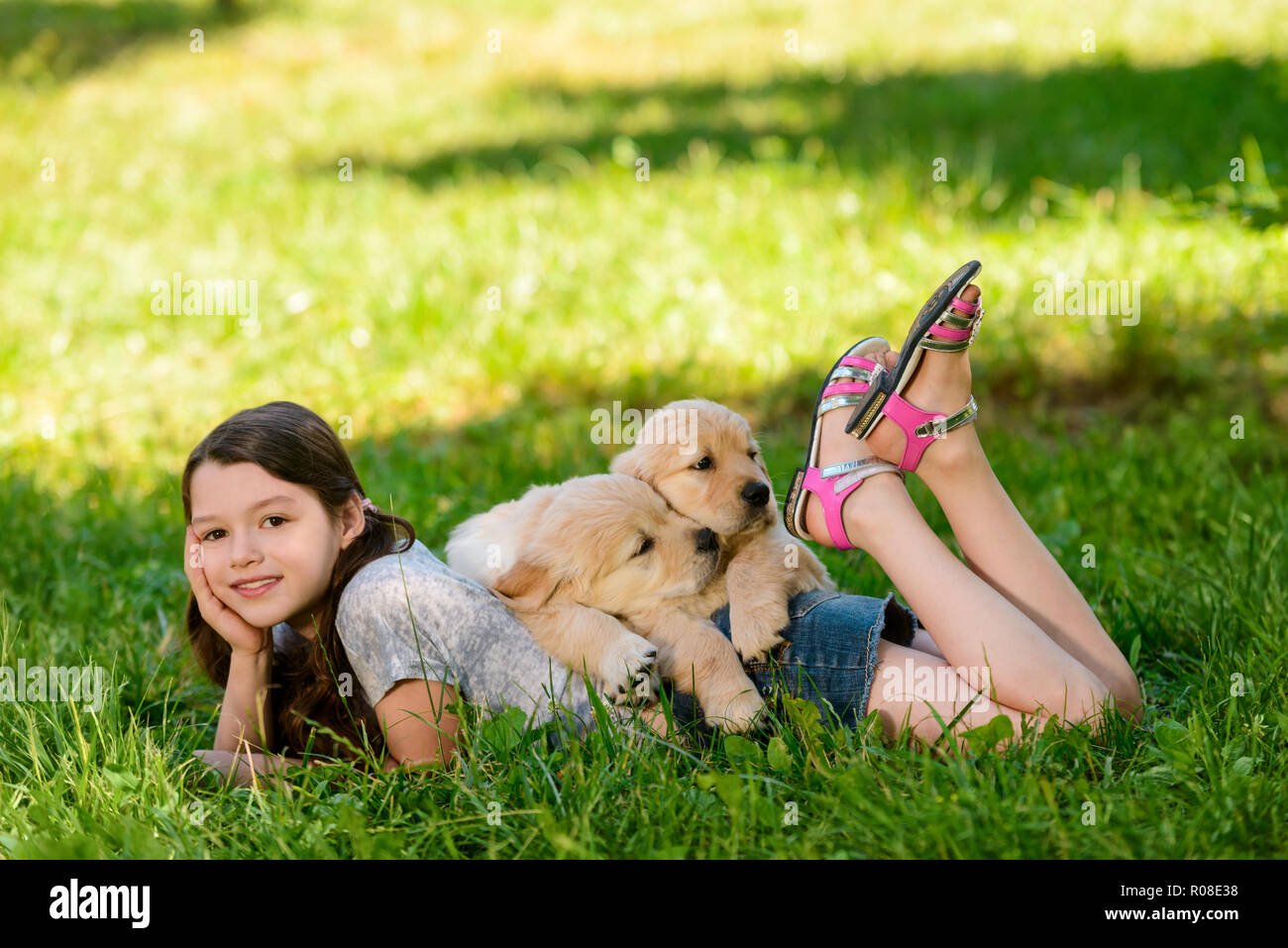 Bella ragazza e simpatici cani Foto Stock