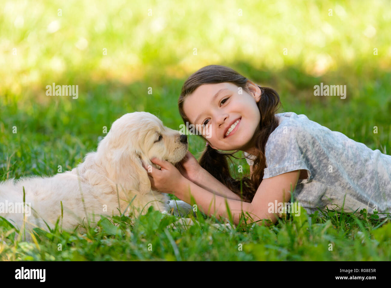 Retriever cucciolo e il suo proprietario Foto Stock