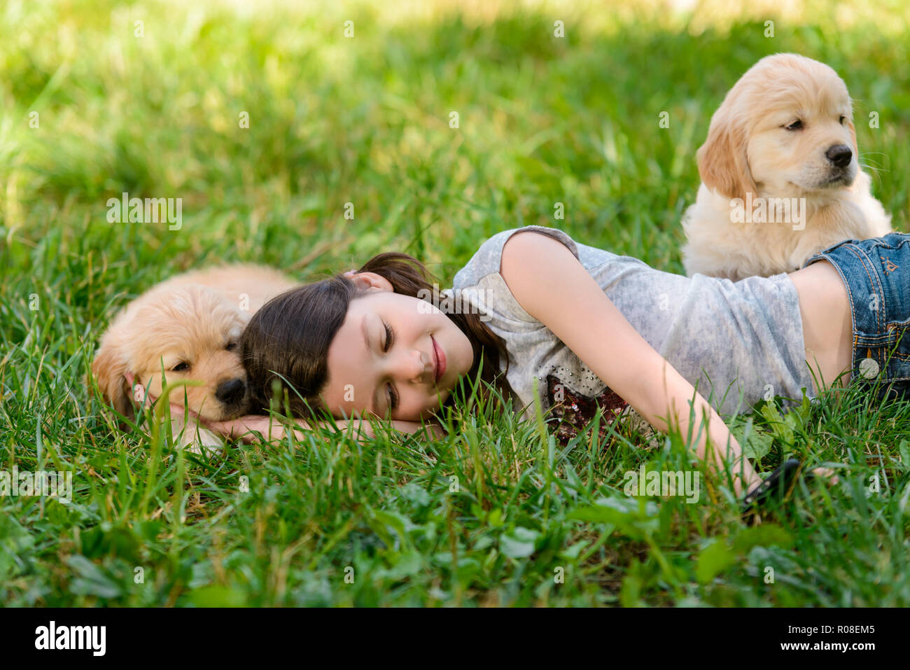 Il bambino e i suoi cani Foto Stock