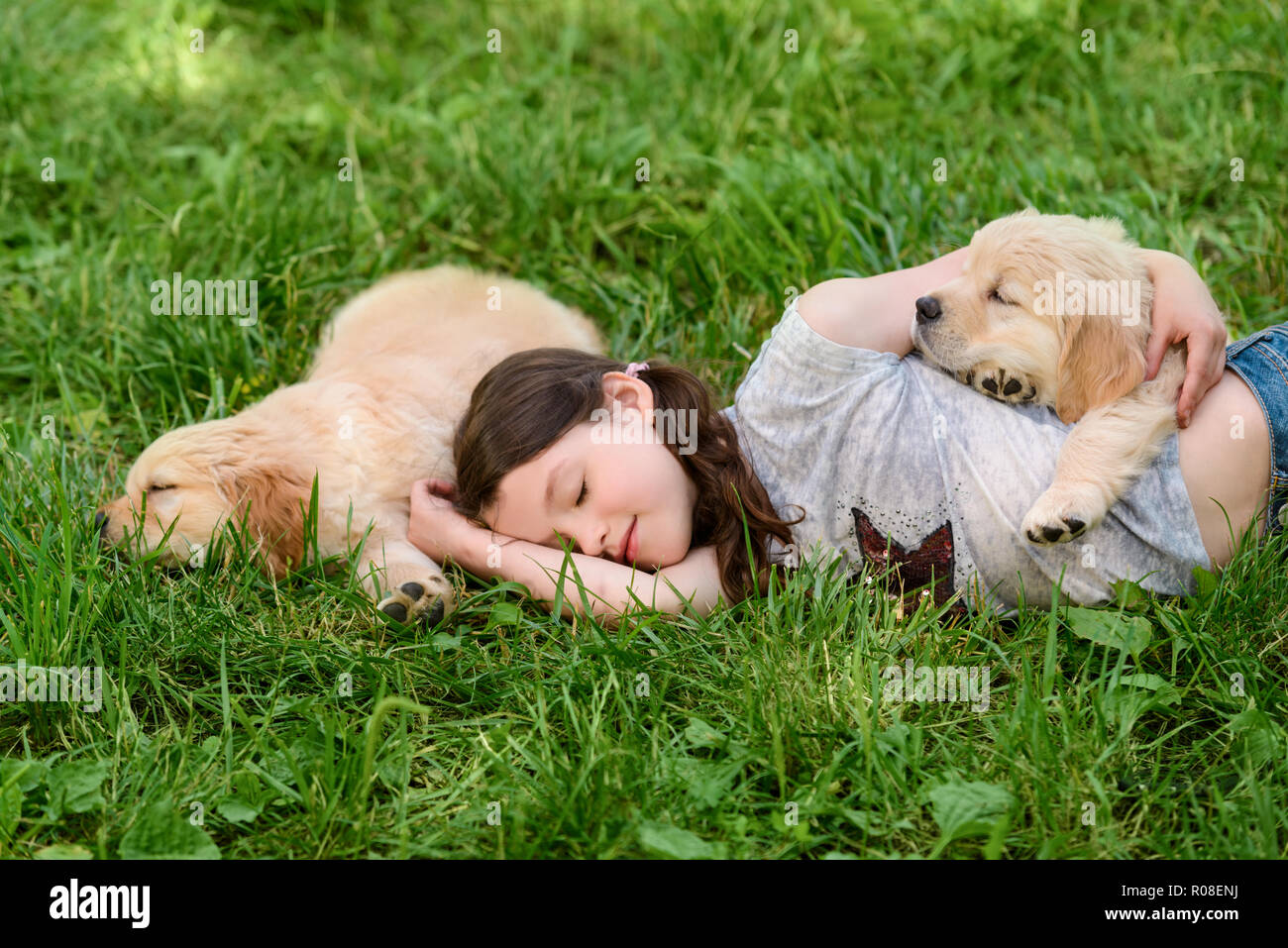 Cani e ragazza dorme Foto Stock