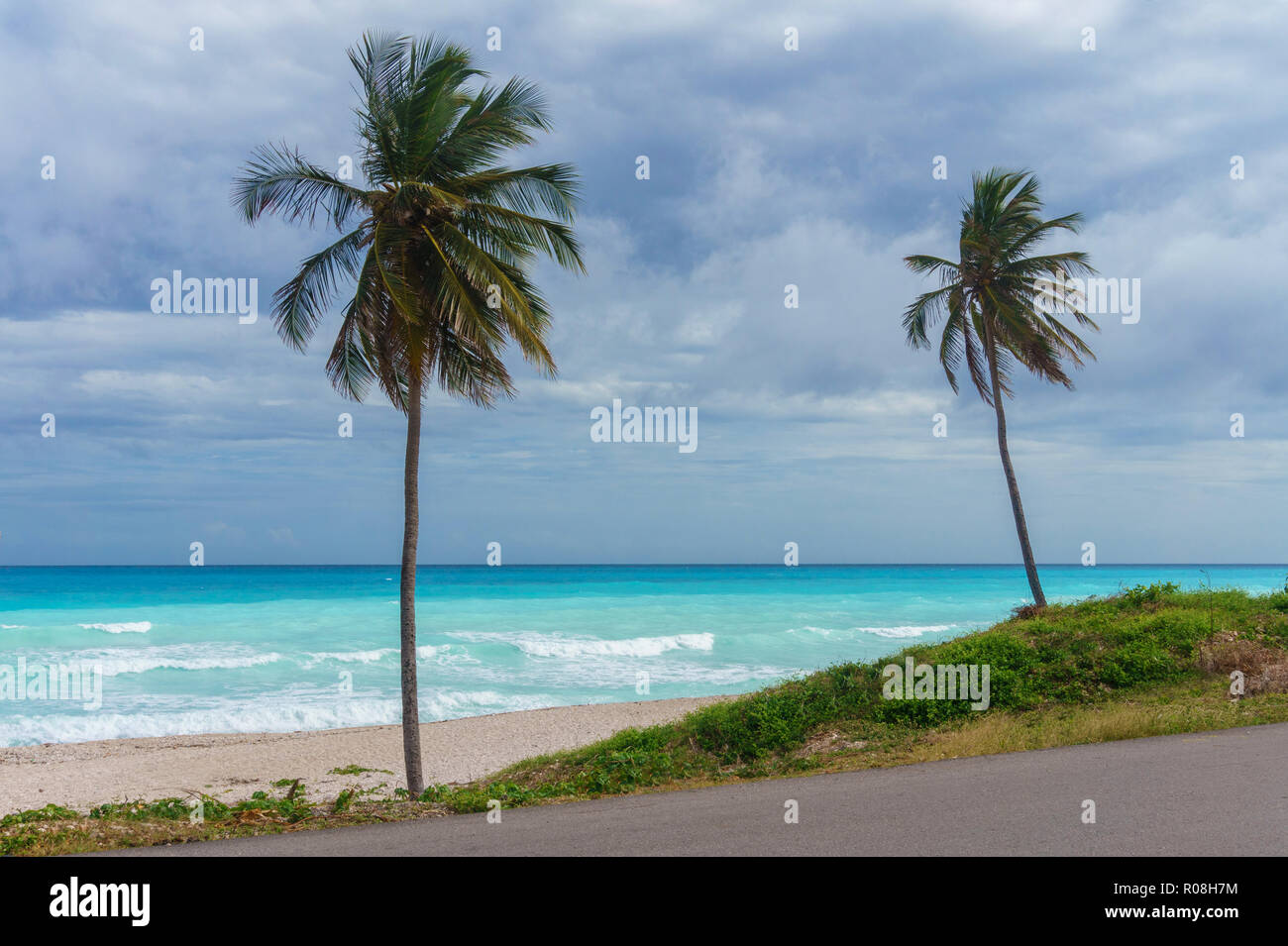 Paesaggio dei caraibi. Due palme sullo sfondo di un mare azzurro e il grigio cielo piovoso. Repubblica Dominicana Foto Stock