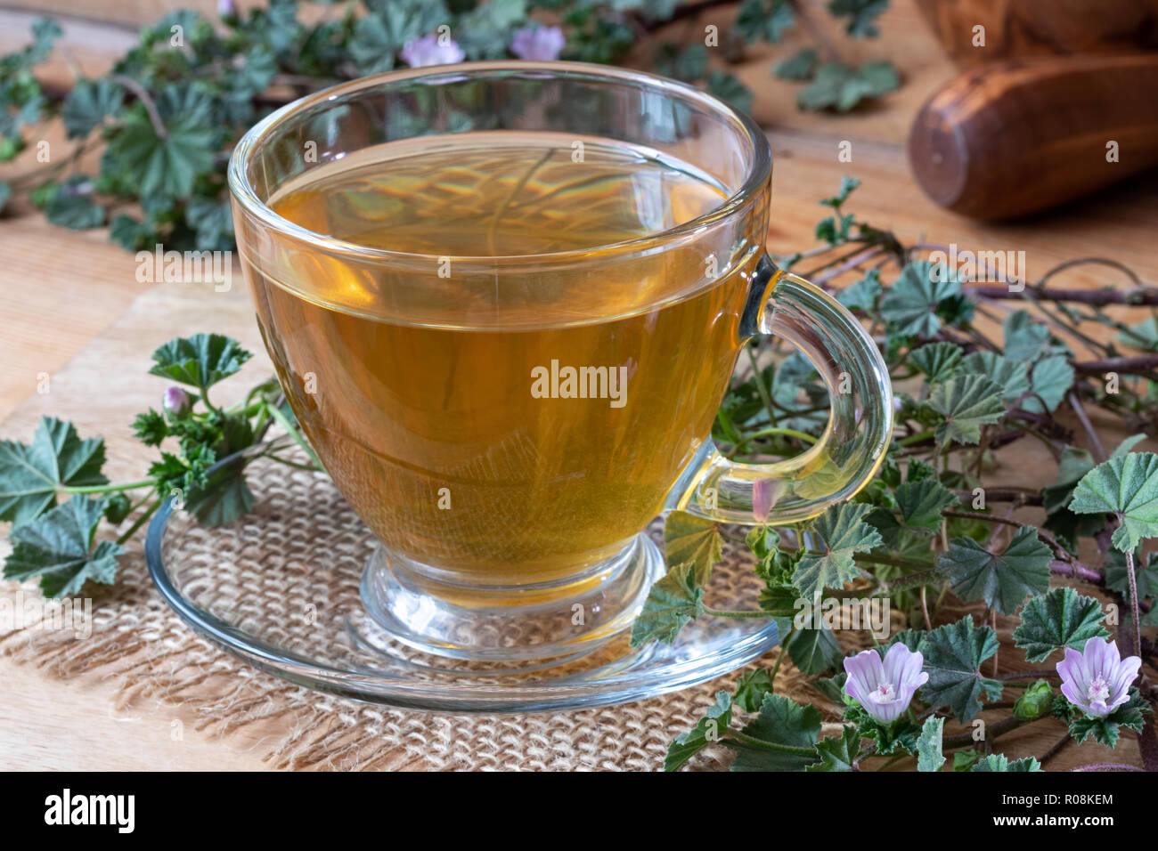 Una tazza di tè alle erbe con fresca nana fiore pianta Malva Foto Stock