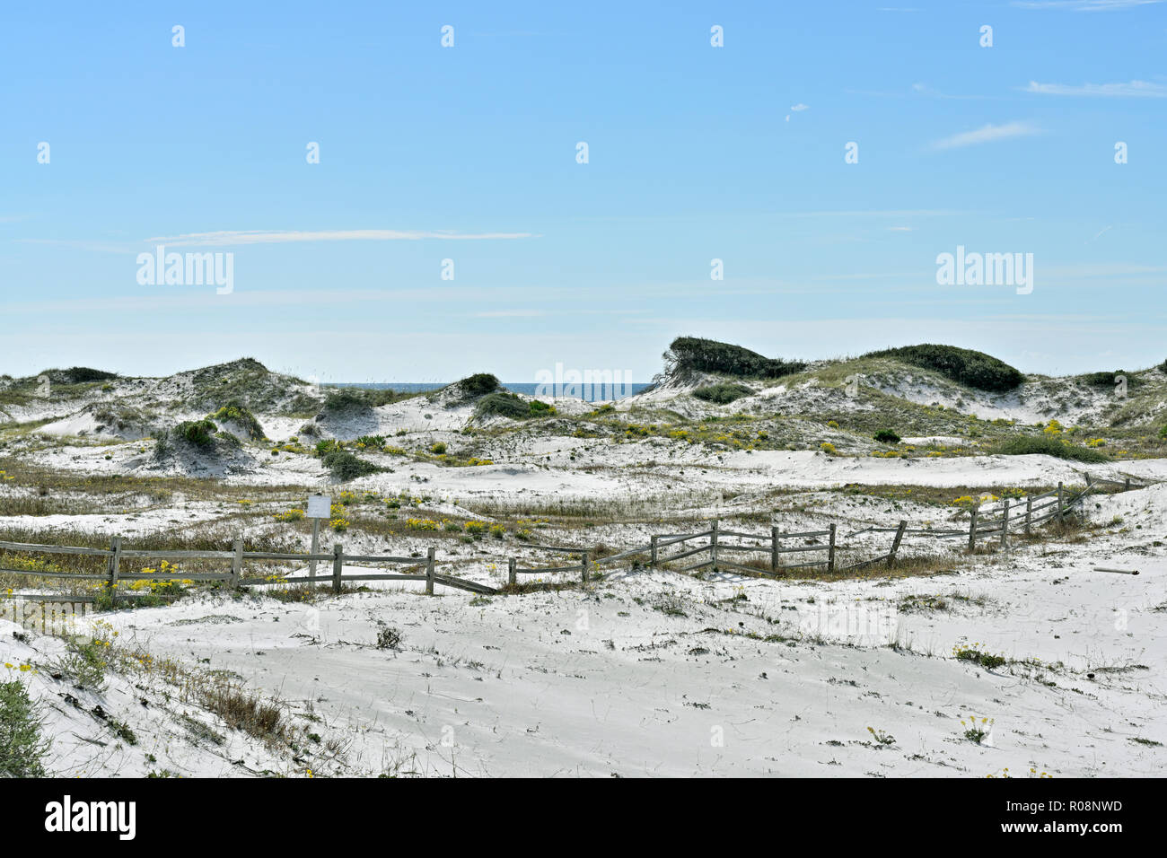 Florida coastal dune di sabbia bianca e una rampa di split recinto vicino alla costa del Golfo spiaggia a Watersound Florida, Stati Uniti d'America. Foto Stock