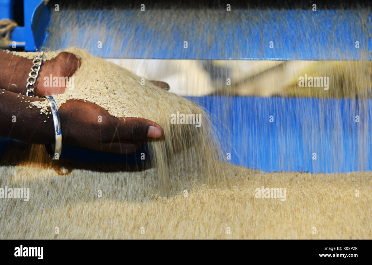 Mondatura millets in una fabbrica in Karnataka, India. Foto Stock