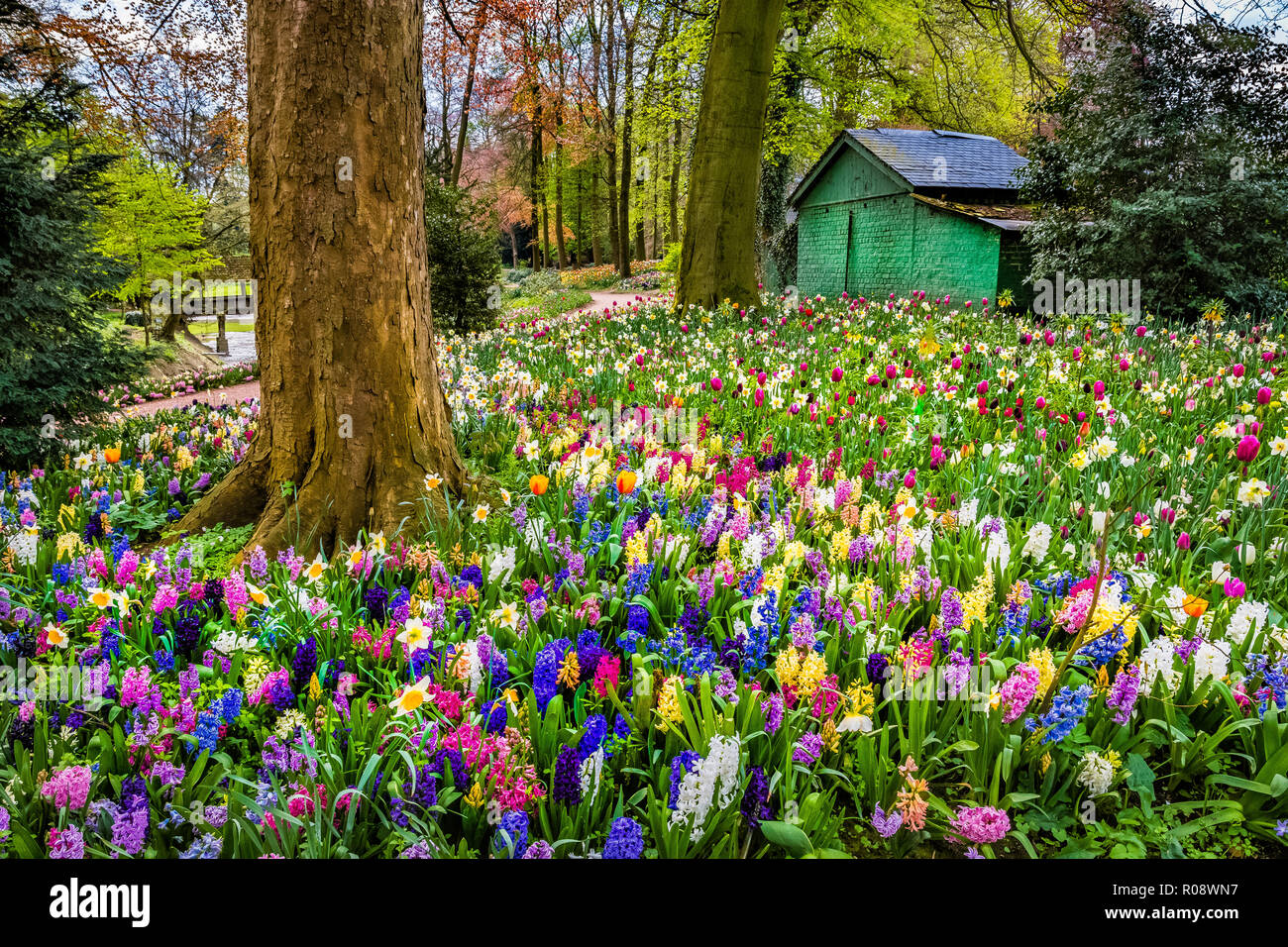 Piccola casa verde in un campo di tulipani e alberi a Groot-Bijgaarden Castello, Belgio Foto Stock